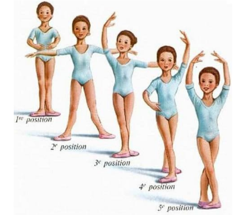 Chicago Contemporary Dance Theatre summer training graphic